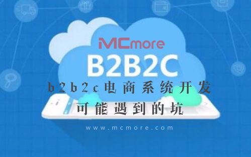 b2b2c电商系统开发可能遇到的坑丨经验分享